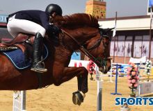 В Зангиате прошёл турнир «Global tour-2018» по конному спорту (Фото)