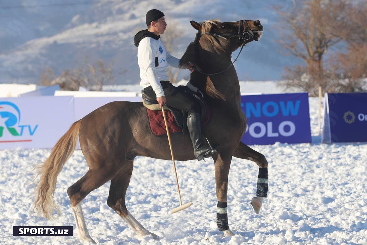 Поло чемпионати Амирсой