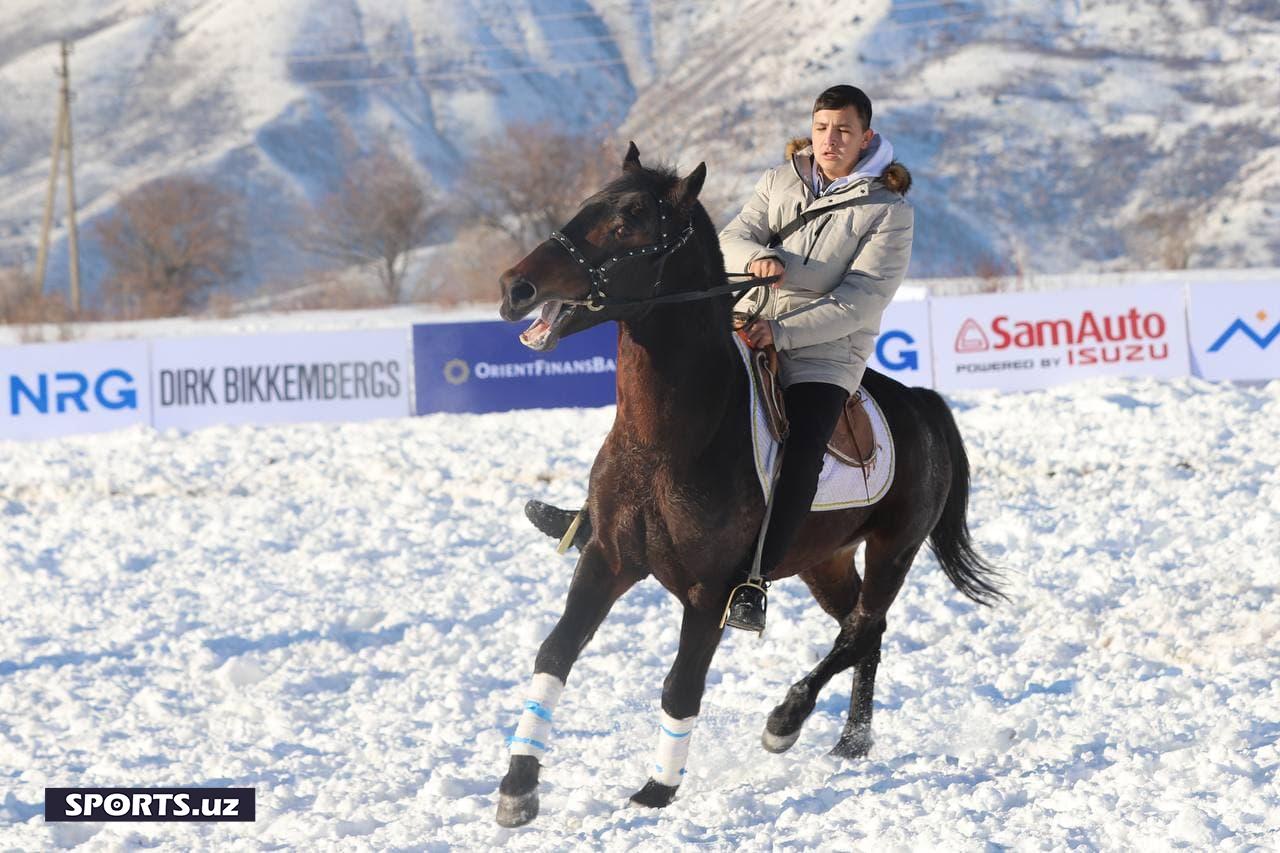 Поло чемпионати Амирсой