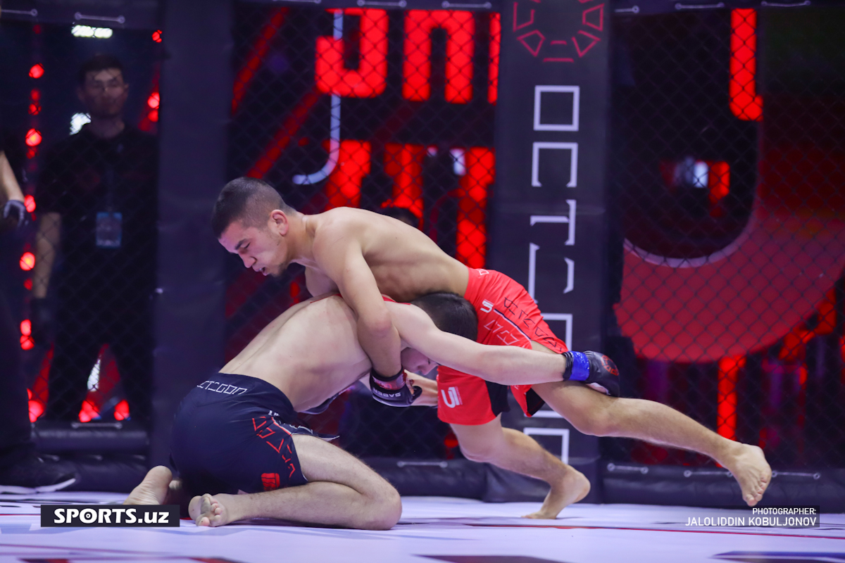 MMA Octagon&U1 3-galereya