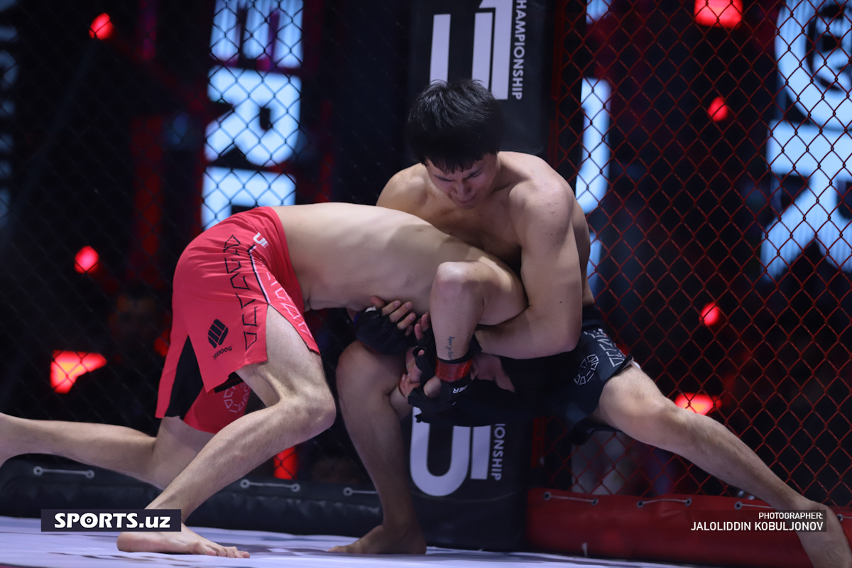 MMA Octagon - 4