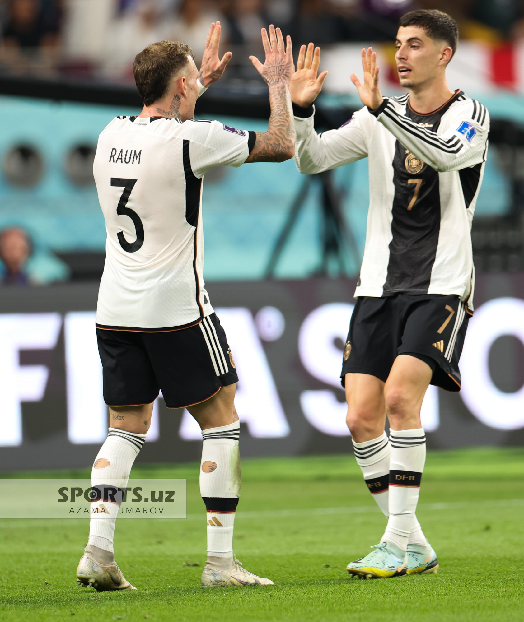 WC Germany vs Japan