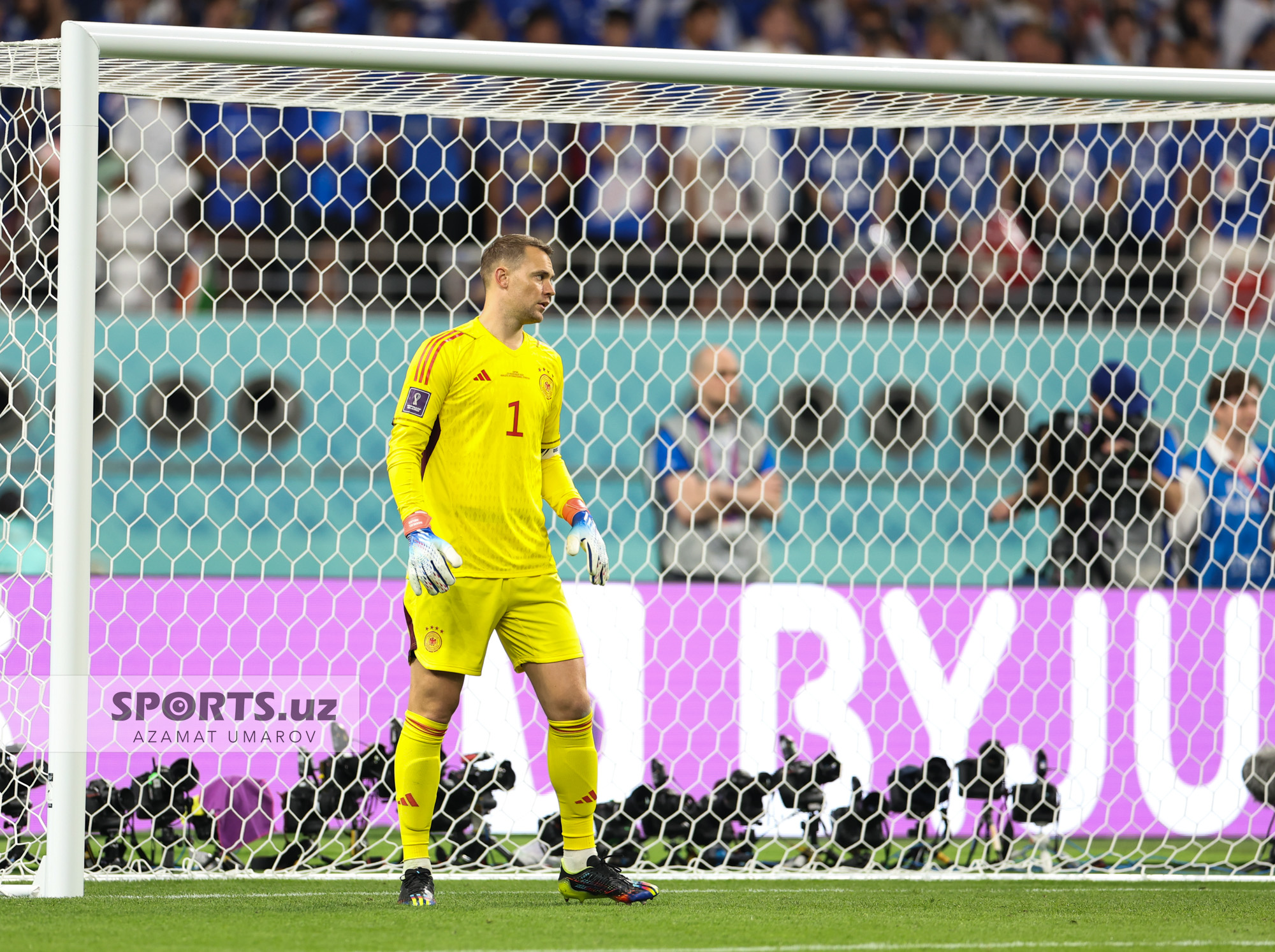 WC Germany vs Japan