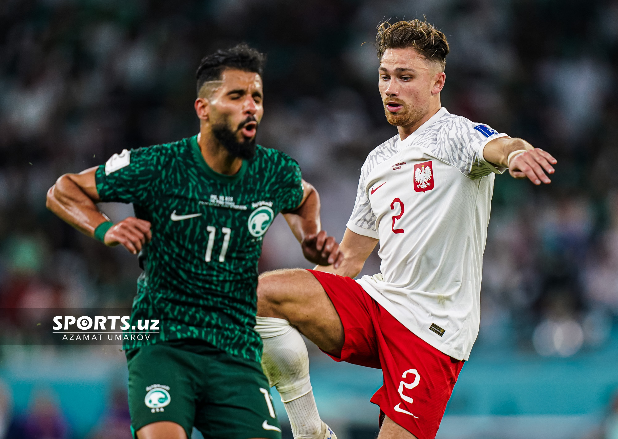 WC Poland vs Saudi Arabia