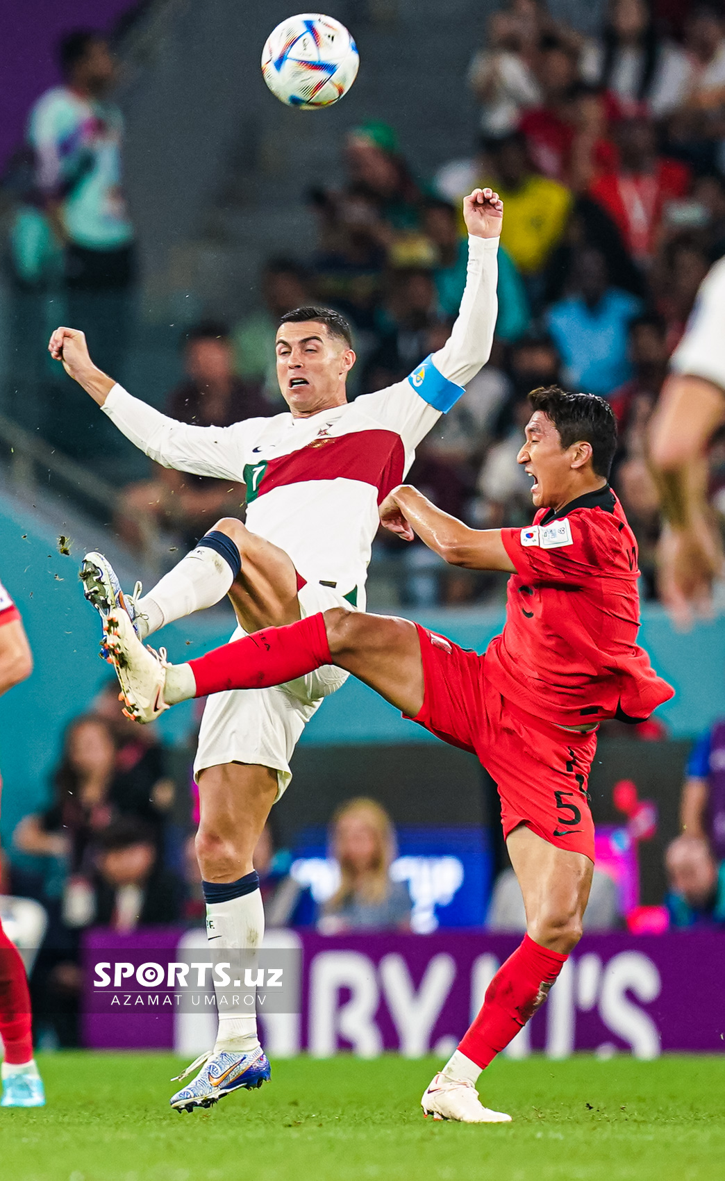 WC Korea Republic vs Portugal