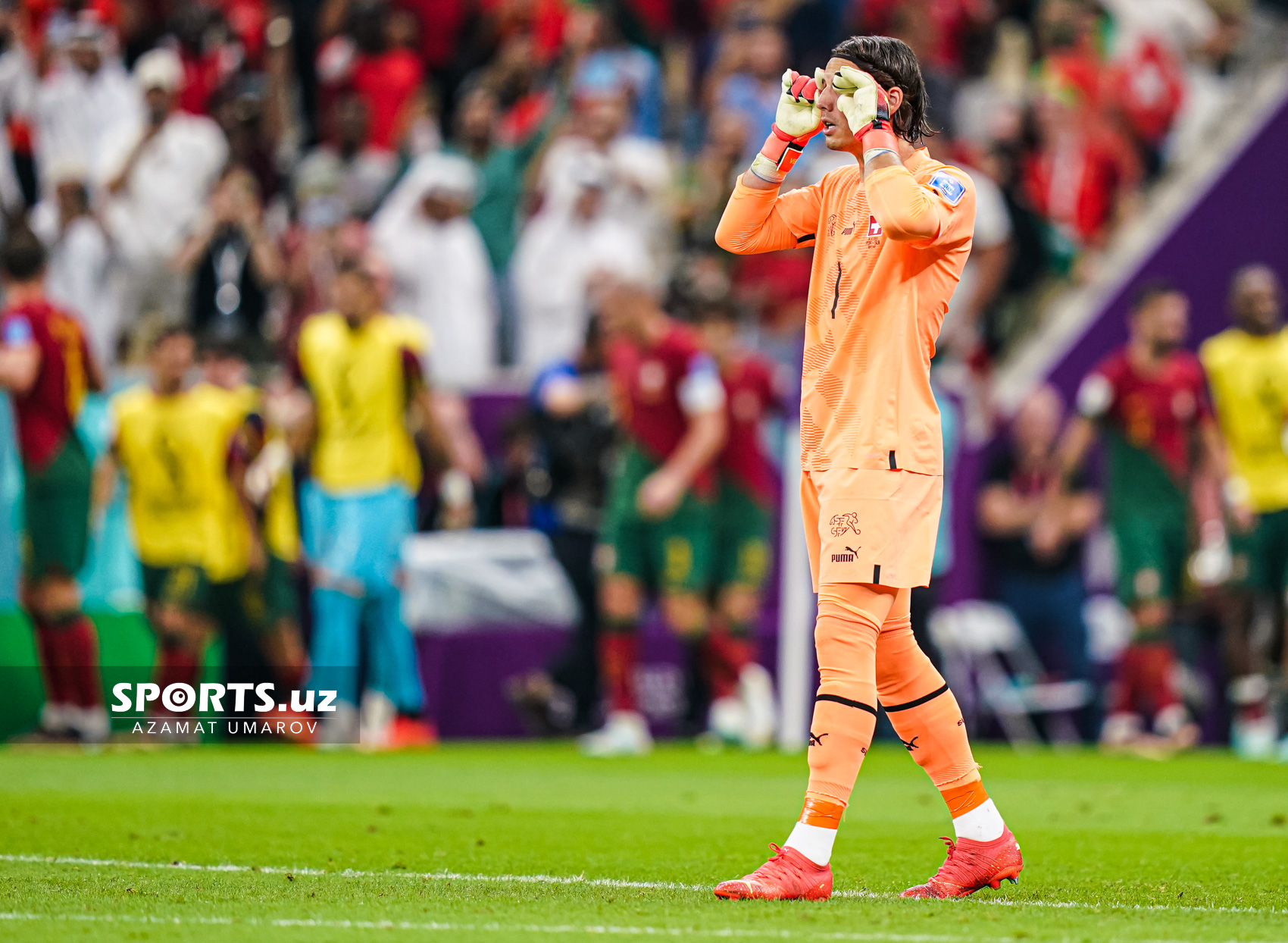 WC Portugal vs Switzerland