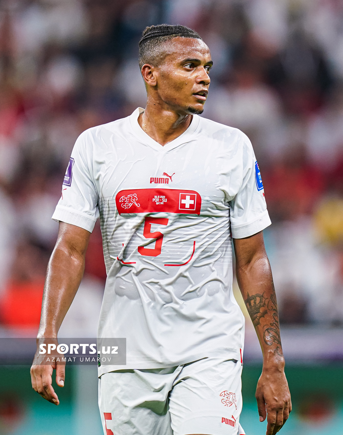 WC Portugal vs Switzerland