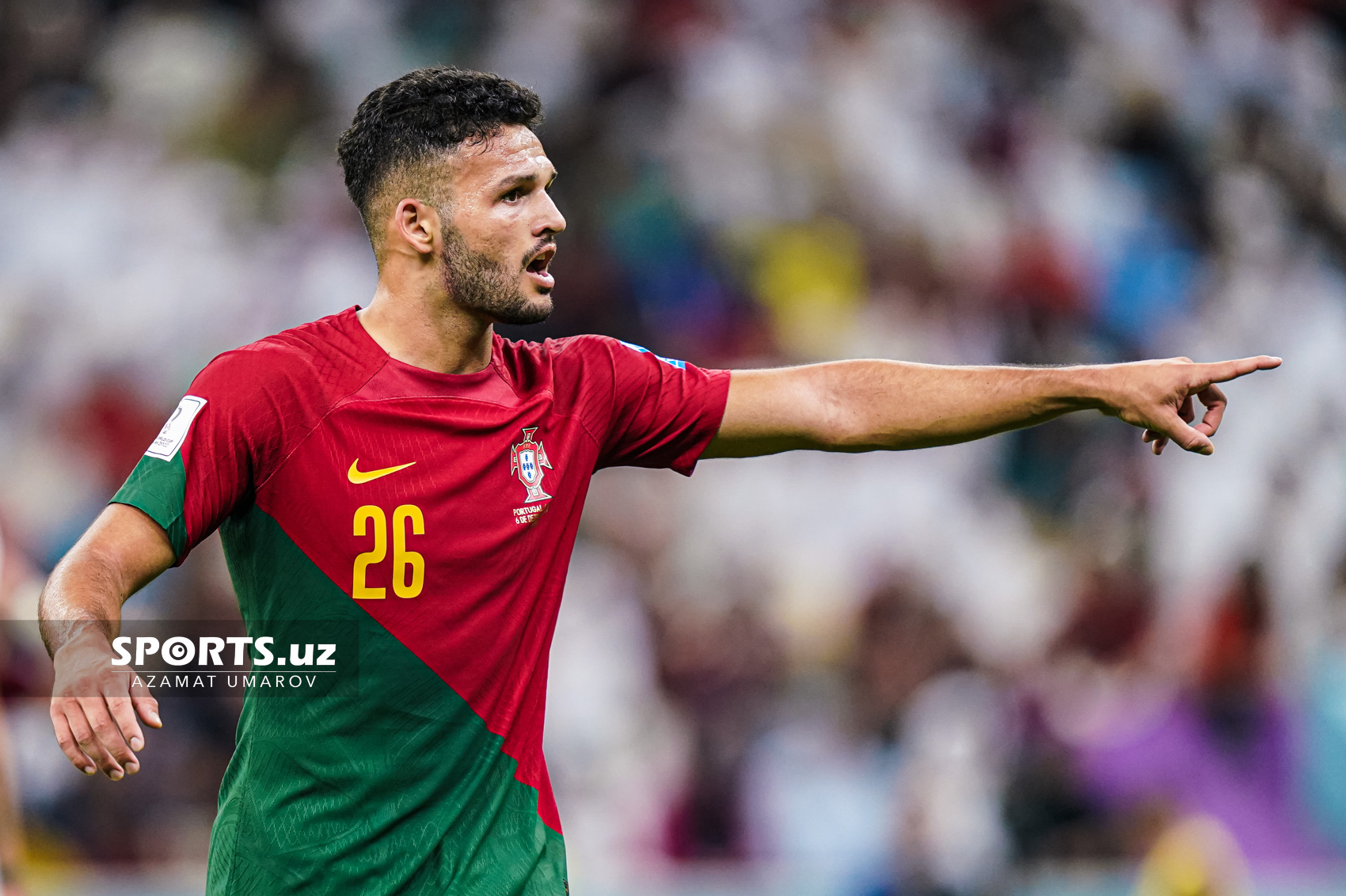 WC Portugal vs Switzerland