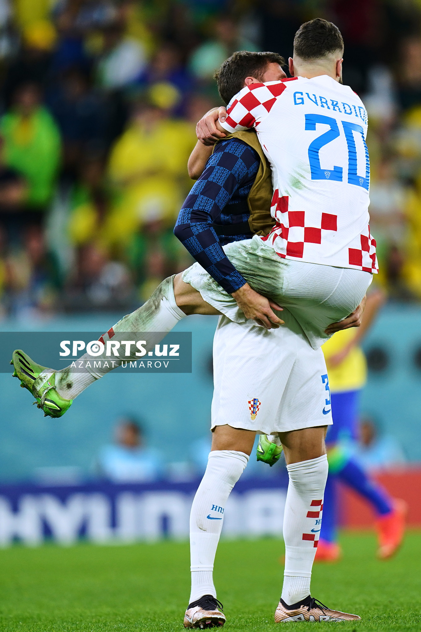 WC Croatia vs Brazil