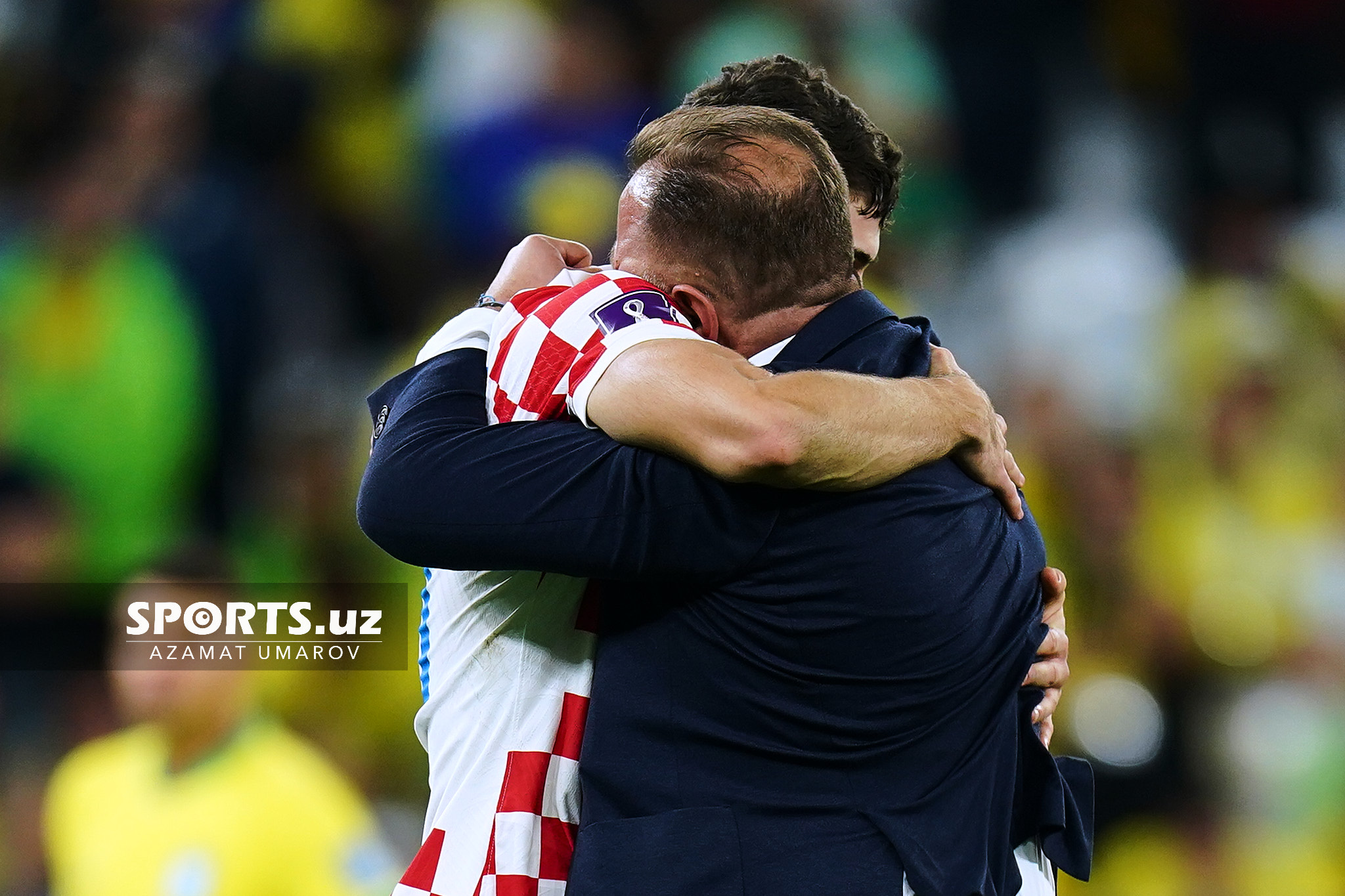 WC Croatia vs Brazil