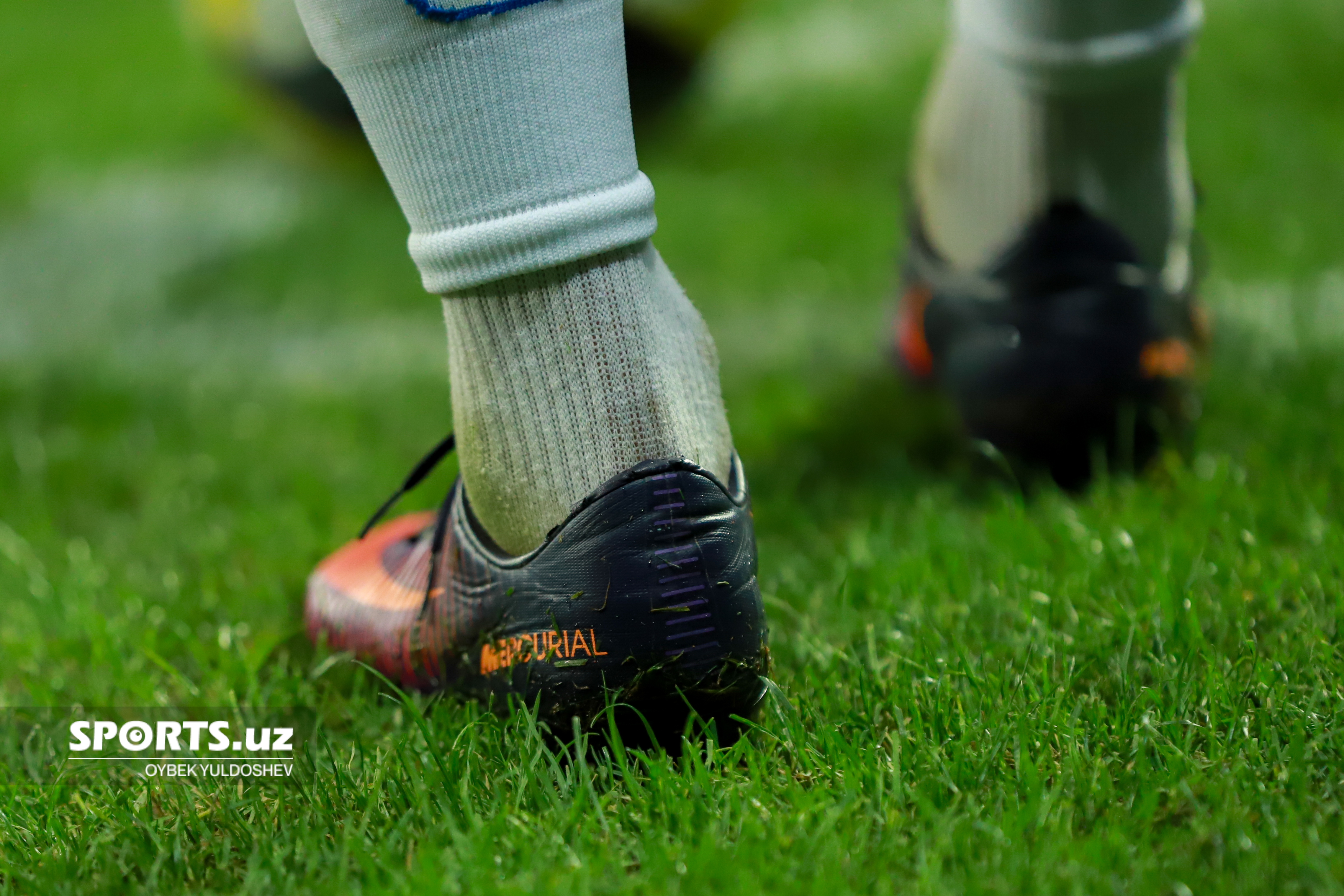 FIFA Series: Ўзбекистон - Венесуэла (Учрашув)