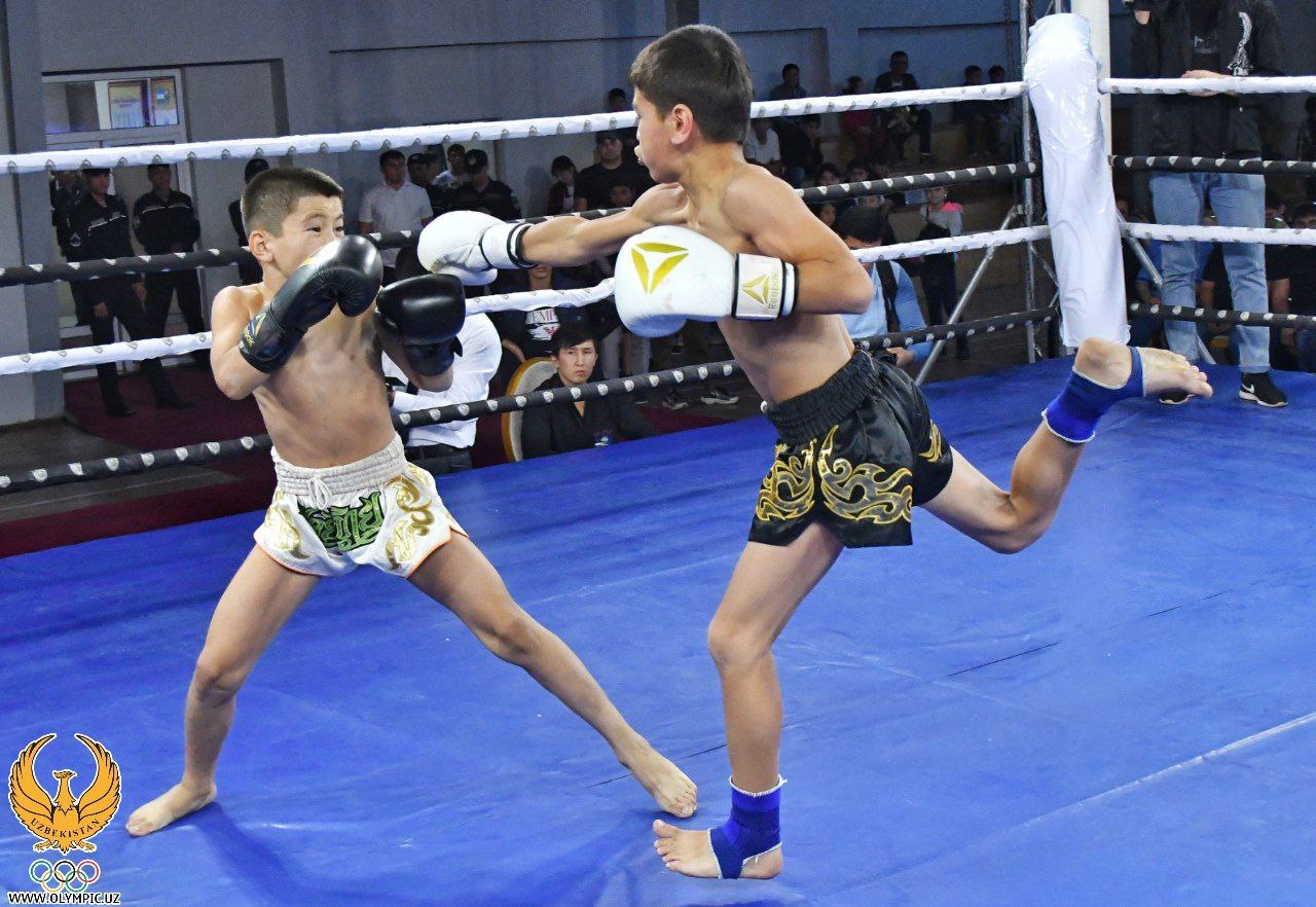 Max Muay Thai РѕР±РѕРё