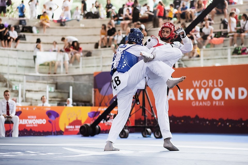 Taekwondo Fighter